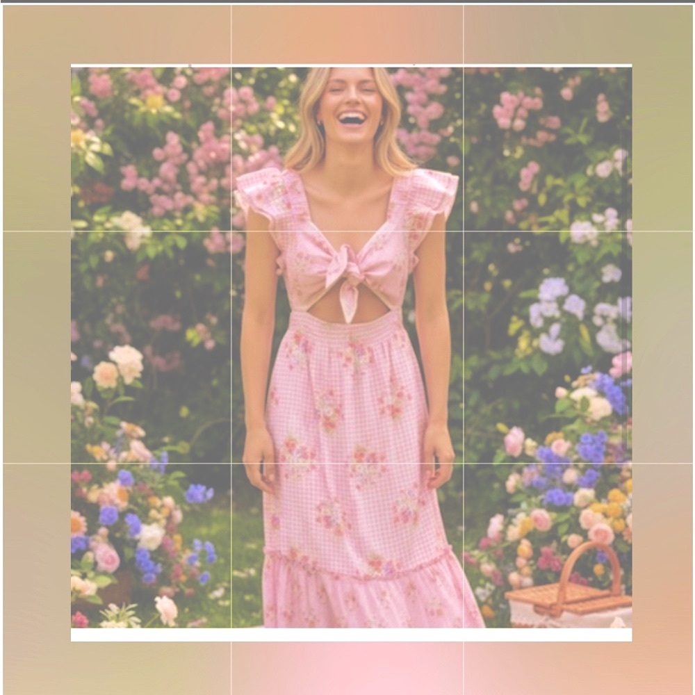 LoveShackFancy Rare & Desirable Fancy Pink Floral Midi Dress Adorable!🌸